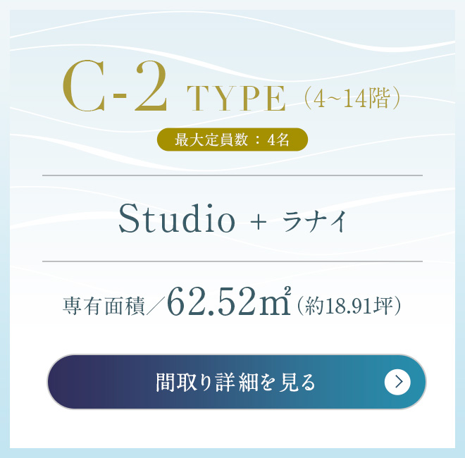 C-2 TYPE （2~3階）